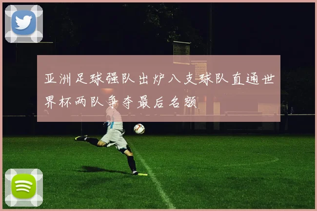 亚洲足球强队出炉八支球队直通世界杯两队争夺最后名额