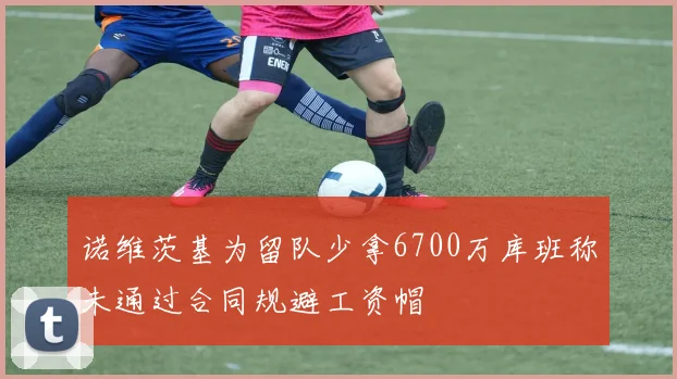 诺维茨基为留队少拿6700万库班称未通过合同规避工资帽