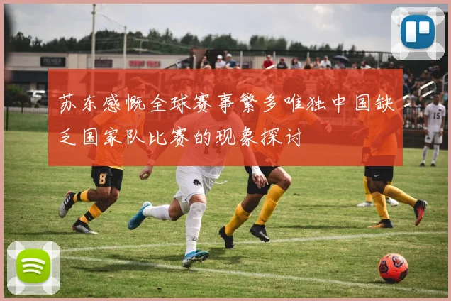 苏东感慨全球赛事繁多唯独中国缺乏国家队比赛的现象探讨